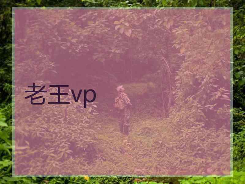 老王vp